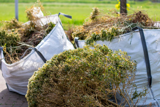Best Yard Waste Removal  in Lakes East, CT